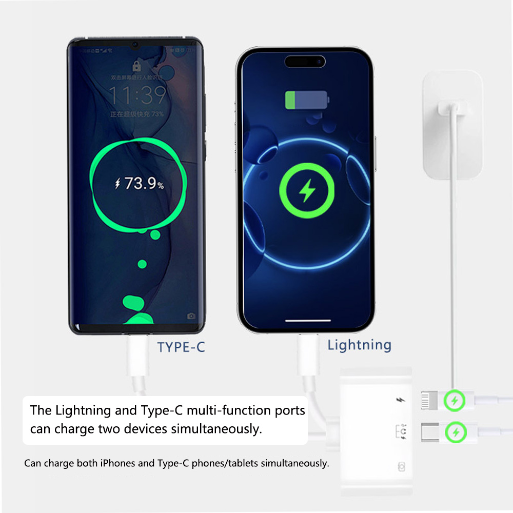2 in 1 Lightning Tipo C a USB  - Wired Earphone Lightning recensione e prezzo